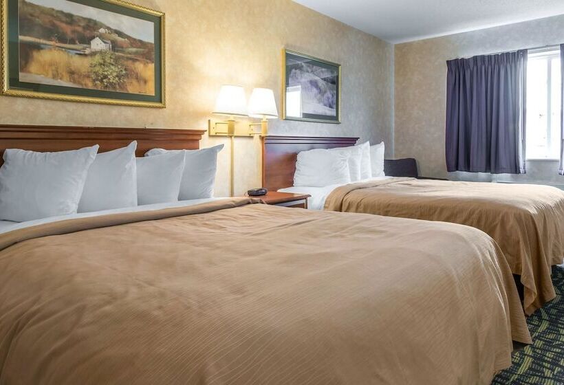 호텔 Quality Inn & Suites