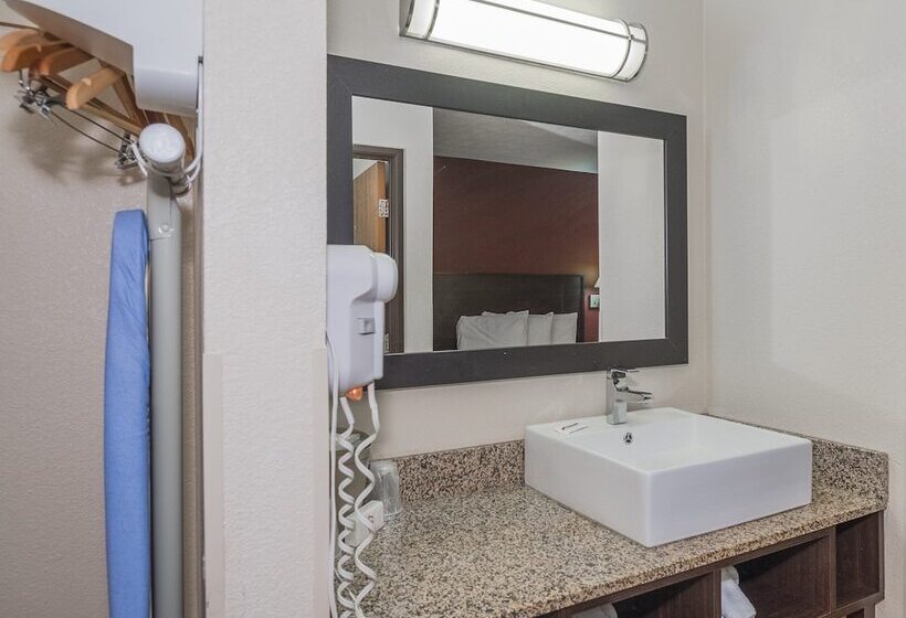 호텔 Red Roof Inn & Suites Hermitage