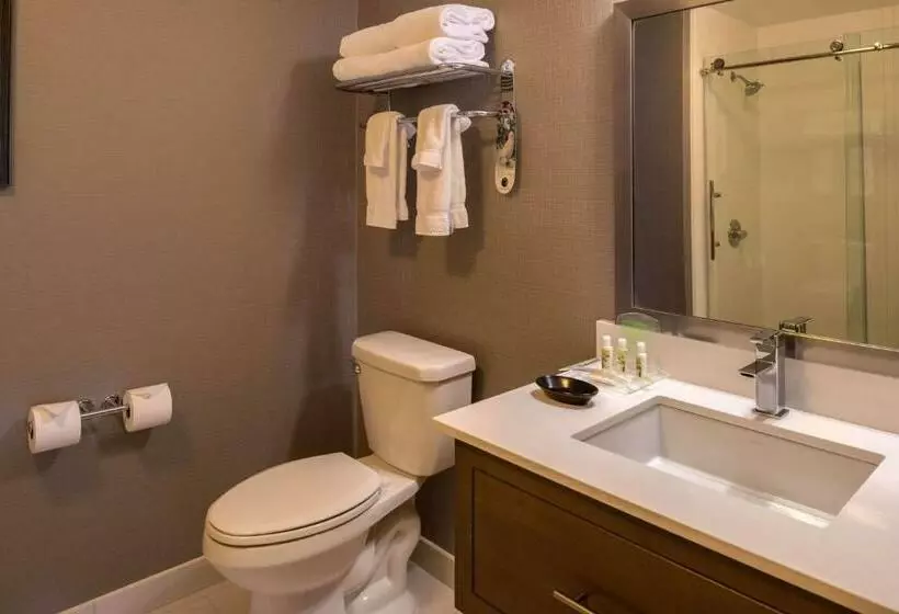 ホテル Sonesta Chicago O Hare Airport Rosemont