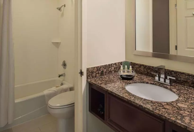 ホテル Sonesta Chicago O Hare Airport Rosemont