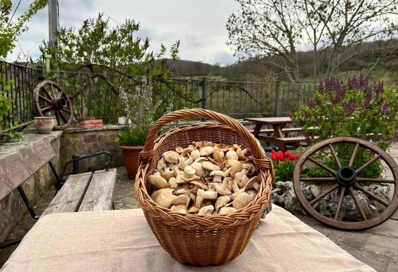 旅馆 La Posada Del Santuario