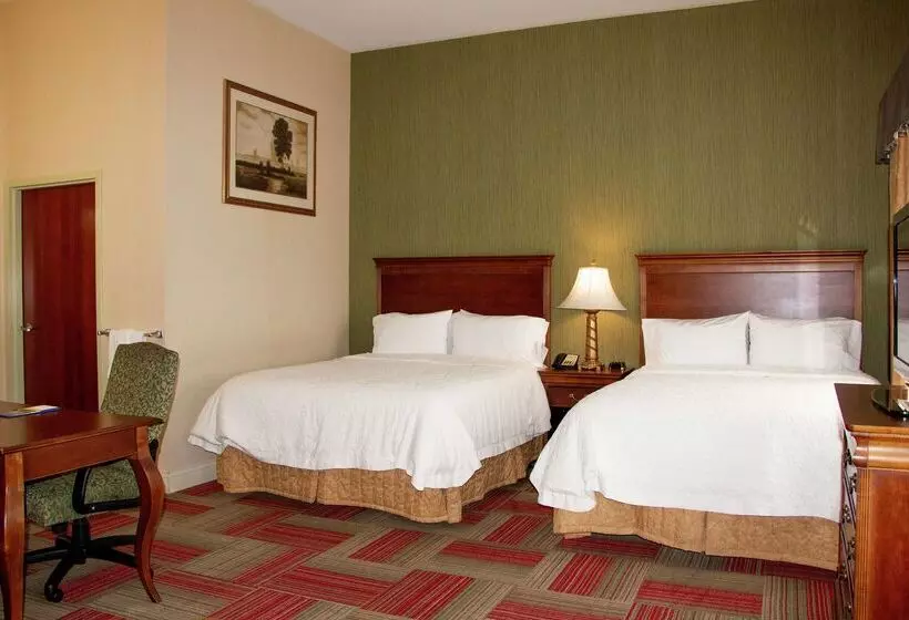 هتل Hampton Inn & Suites Roswell