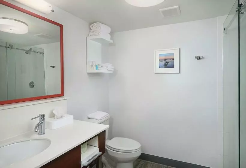 Отель Hampton Inn Beaumont