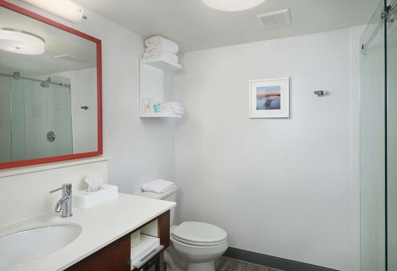 호텔 Hampton Inn Beaumont