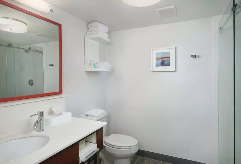 Отель Hampton Inn Beaumont