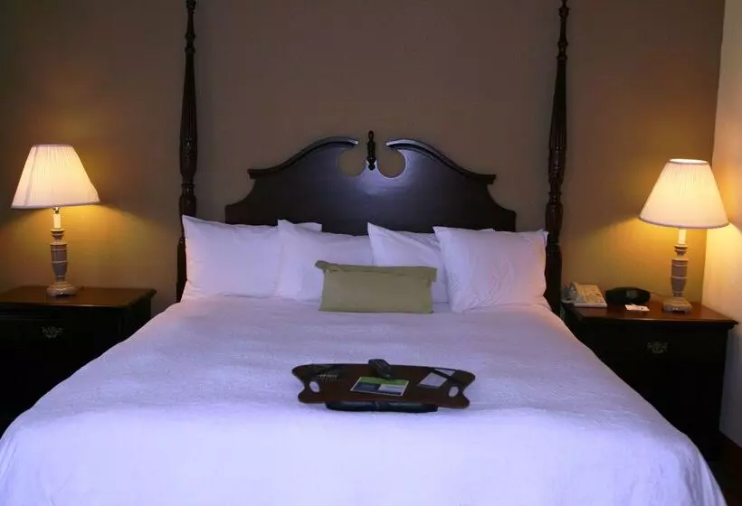 Hotel Hampton Inn Canton