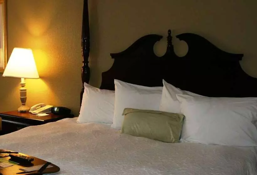 Hotel Hampton Inn Canton