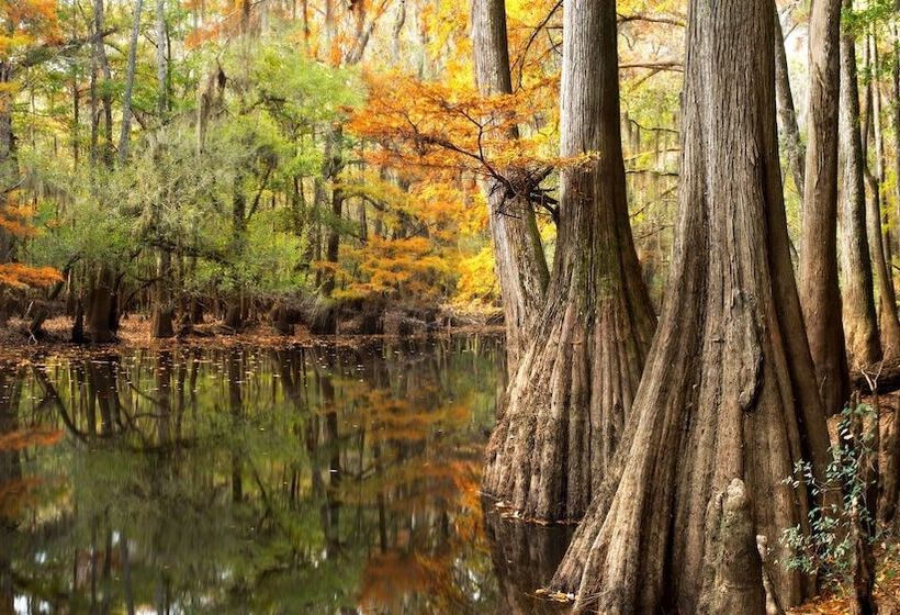 酒店 Hampton Inn Columbiadowntown Historic District