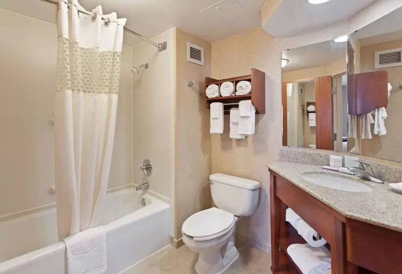 فندق Hampton Inn Joplin