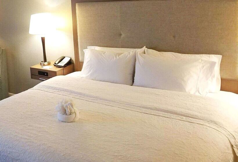 فندق Hampton Inn Philadelphiainternational Airport