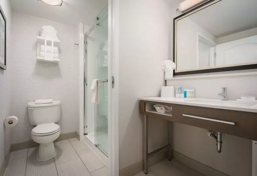 호텔 Hampton Inn By Hilton Springfield