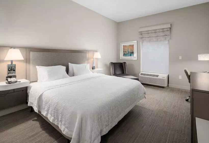 호텔 Hampton Inn By Hilton Springfield