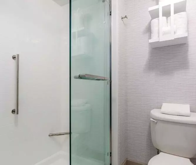 호텔 Hampton Inn By Hilton Springfield