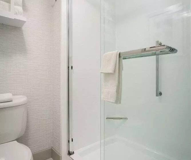 호텔 Hampton Inn By Hilton Springfield