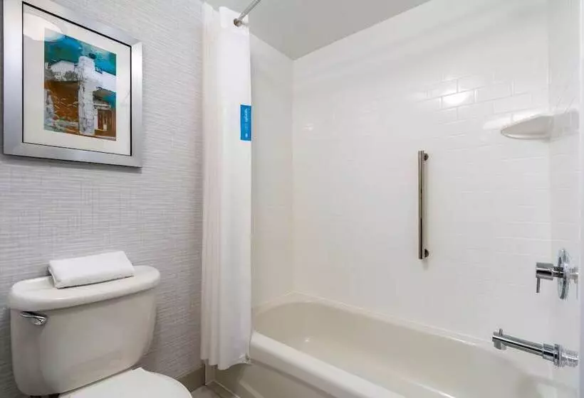 호텔 Hampton Inn By Hilton Springfield