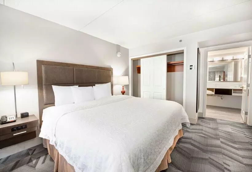 호텔 Hampton Inn & Suites Atlantagalleria