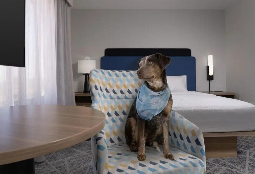 ホテル Hampton Inn & Suites Roswell