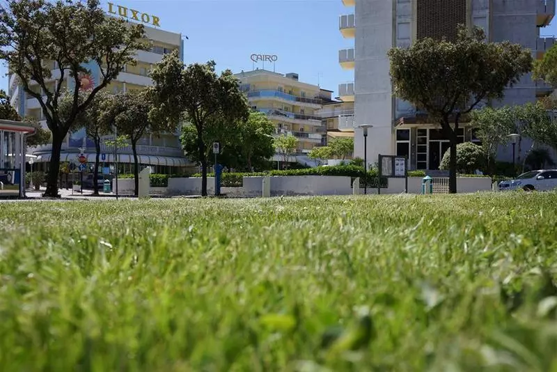 ホテル Luxor E Cairo The Beach Resort