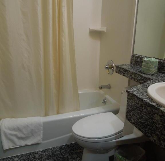 호텔 Red Carpet Inn Brooklyn