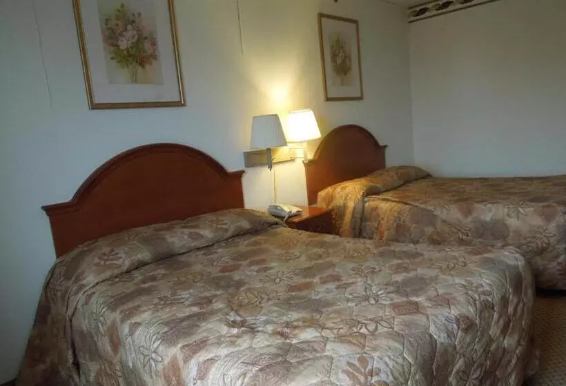 酒店 Red Carpet Inn Brooklyn