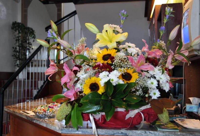 בית מלון כפרי Reno