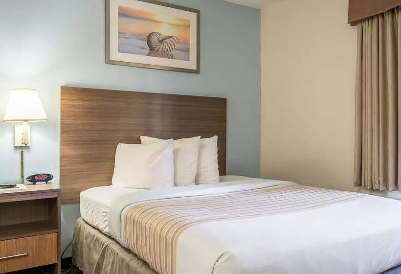 ホテル Suburban Studios Of Wilmington