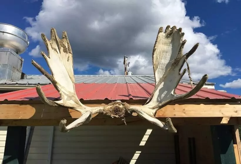 Retkeilymaja Kluane Park Inn