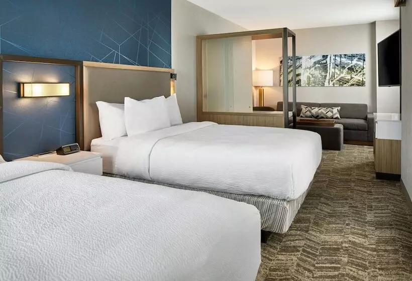 Hotelli Springhill Suites By Marriott Columbus Dublin