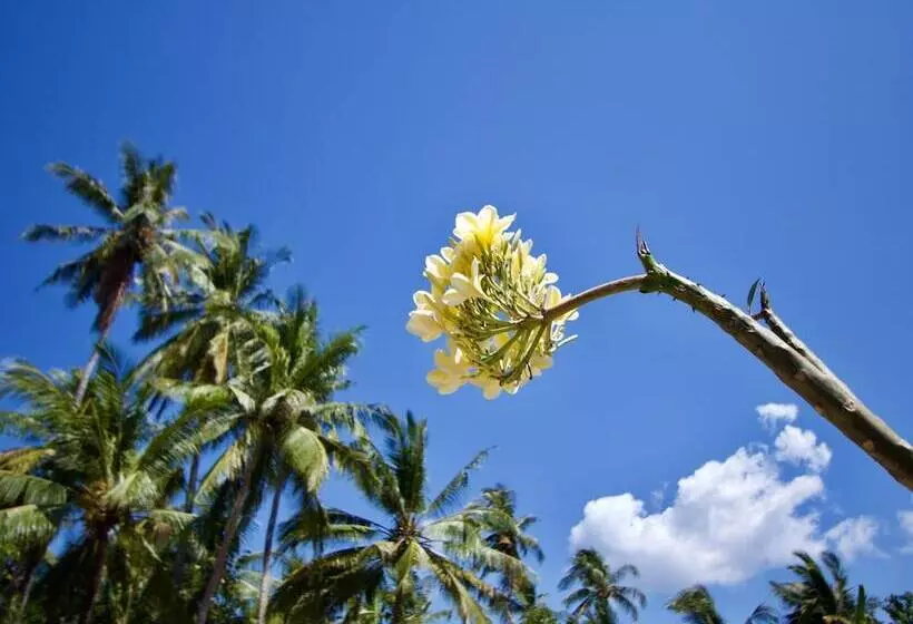 Aamiaismajoitus (B&B) Kubu Artha Bungalow Nusa Penida