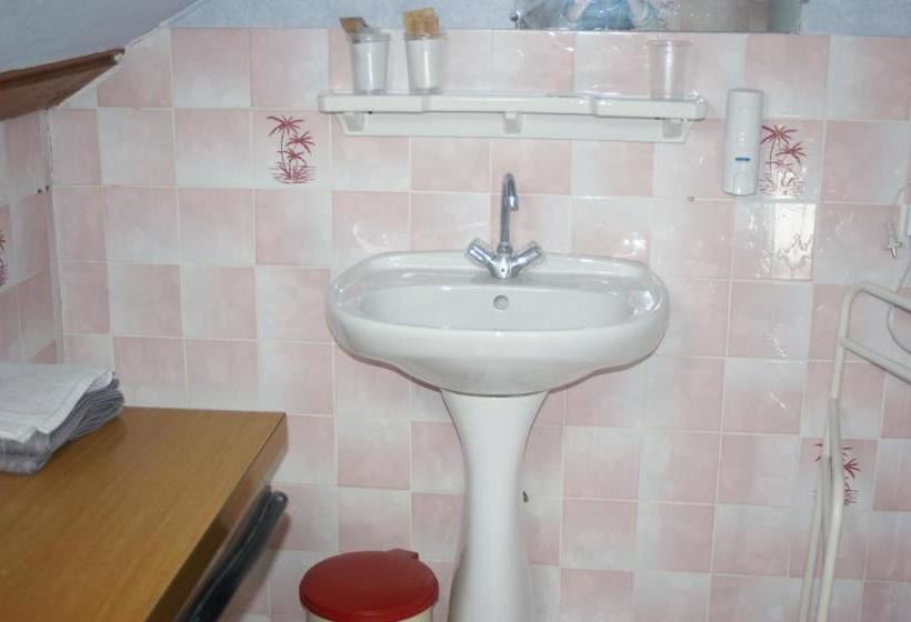 فندق Hôtel Des Voyageurs   Cronat