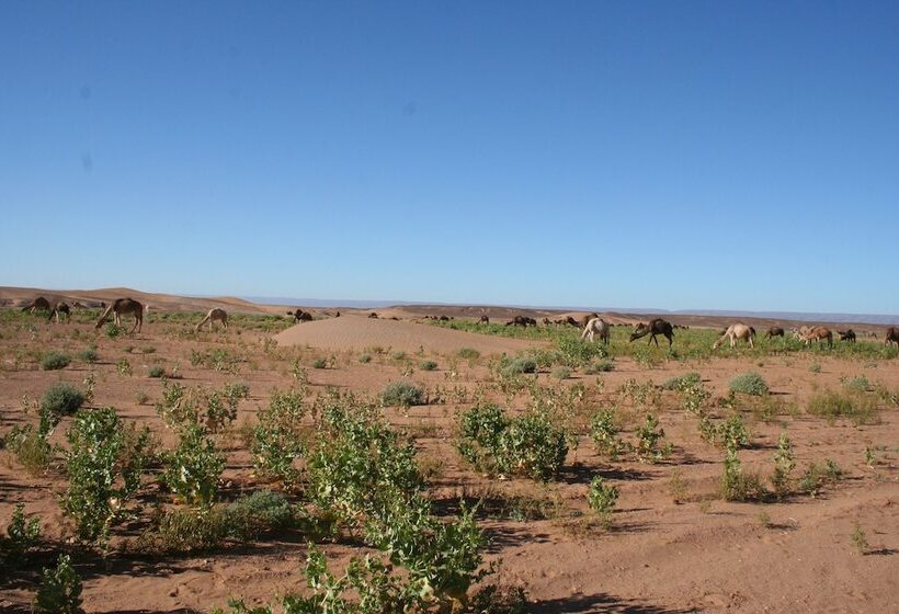 Отель Zagora Desert Camp