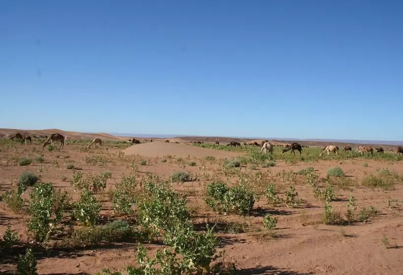 Hotelli Zagora Desert Camp