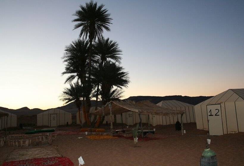 Отель Zagora Desert Camp