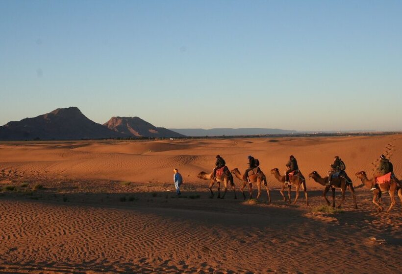 Отель Zagora Desert Camp