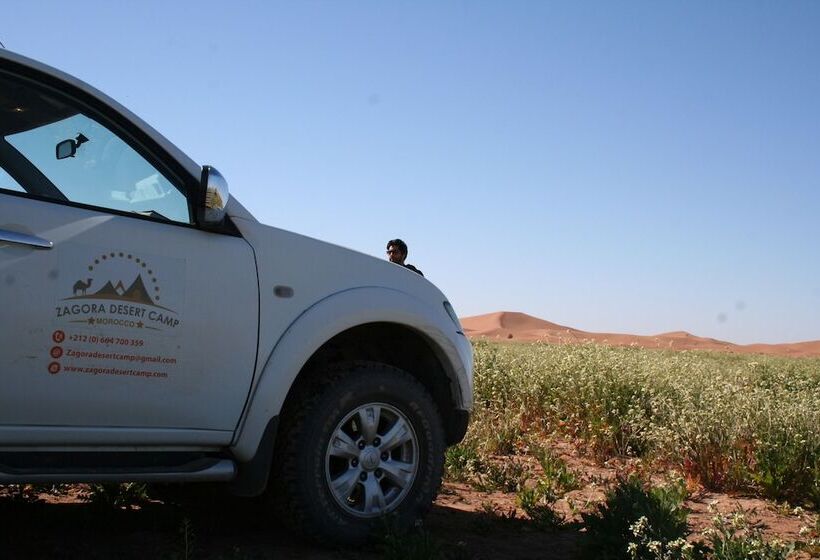 Отель Zagora Desert Camp