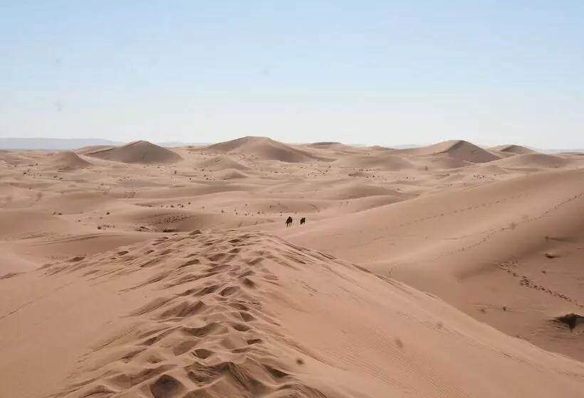 Hotelli Zagora Desert Camp