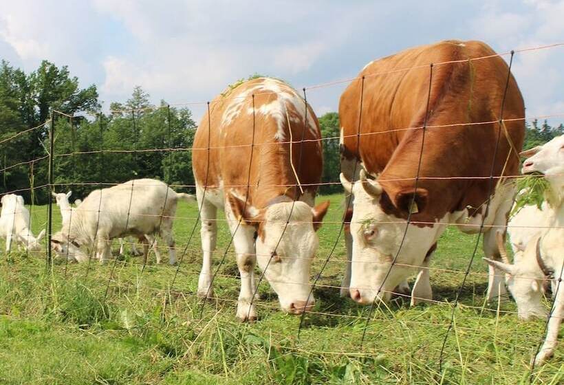 פנסיון Farm Kundratice