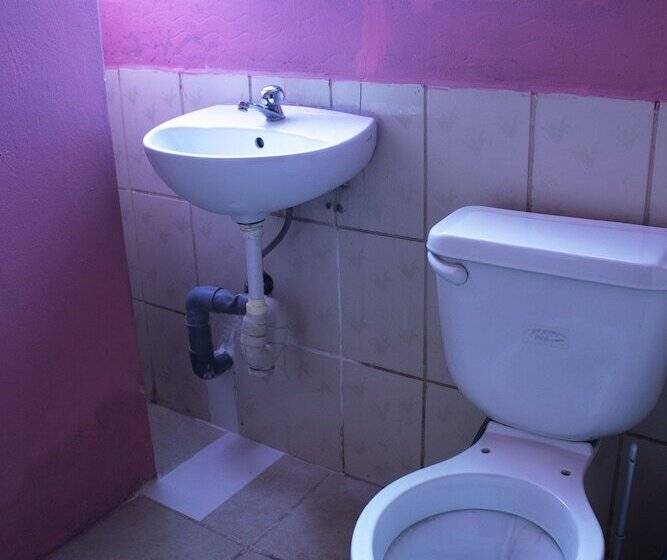 Herberge Hospedaje Rumi Wasi