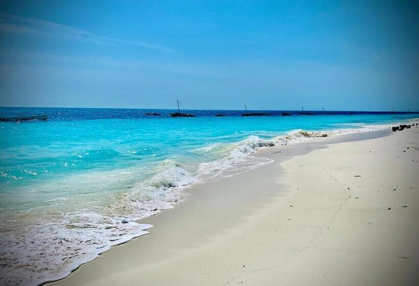 בית מלון כפרי Zava Nungwi