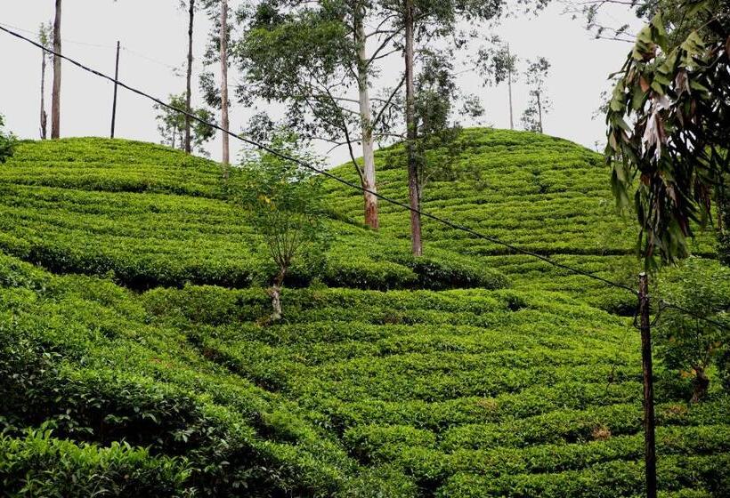 Pepper Garden Resort