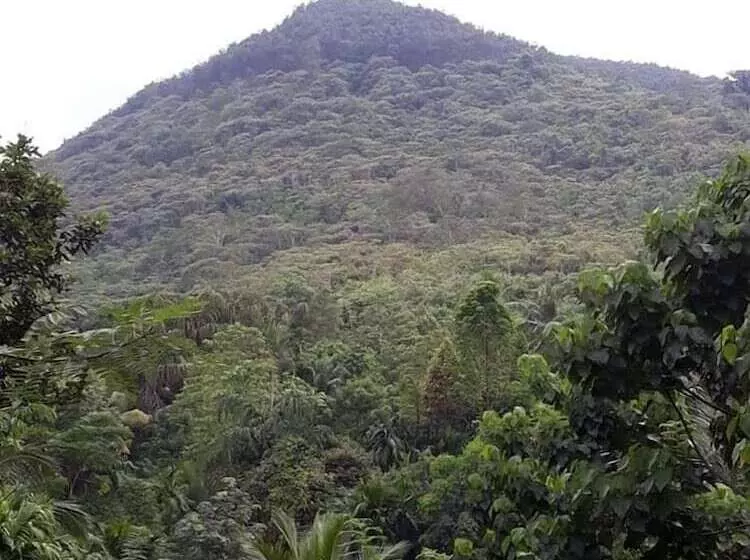 Grandmaa Cooking Trail   Hostel