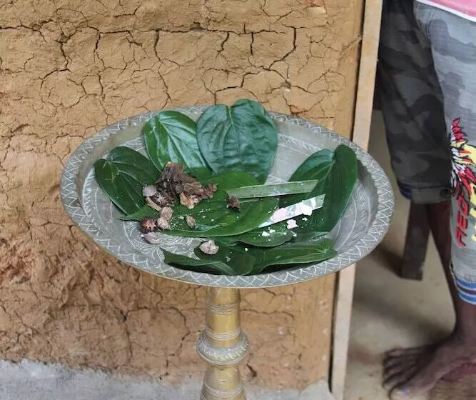 Grandmaa Cooking Trail   Hostel