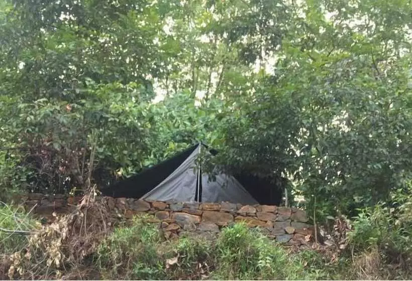 Grandmaa Cooking Trail   Hostel