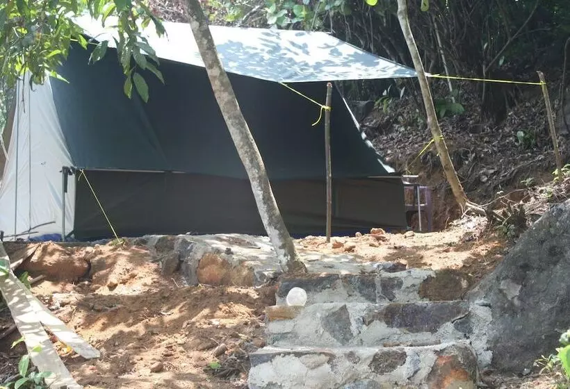 Grandmaa Cooking Trail   Hostel