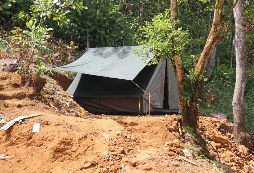 Grandmaa Cooking Trail   Hostel