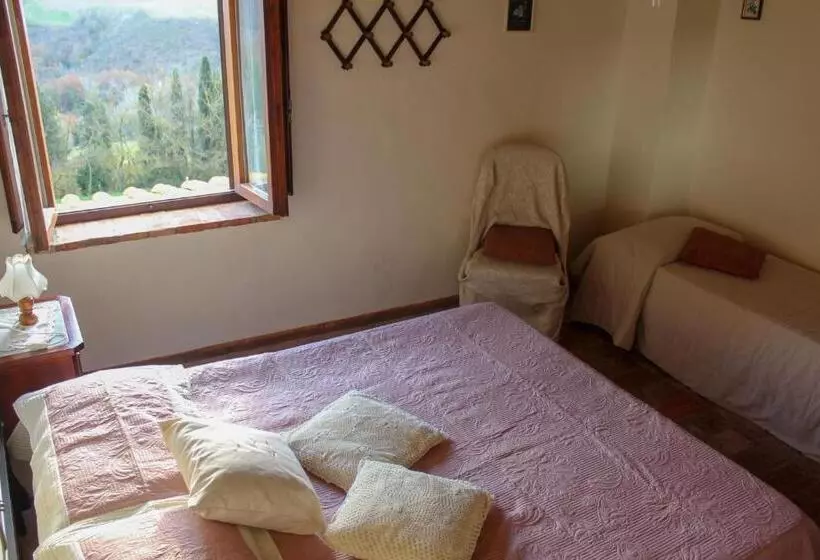 ホテル Agriturismo Colle Verde