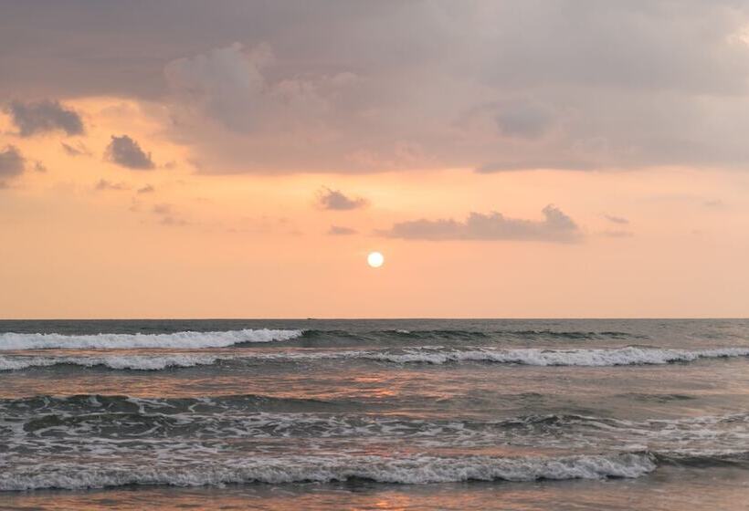 فندق Les Beach Chalets