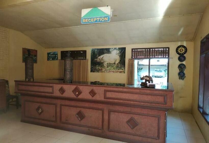 فندق Oyo 3303 Penginapan Putri Asih Sawarna