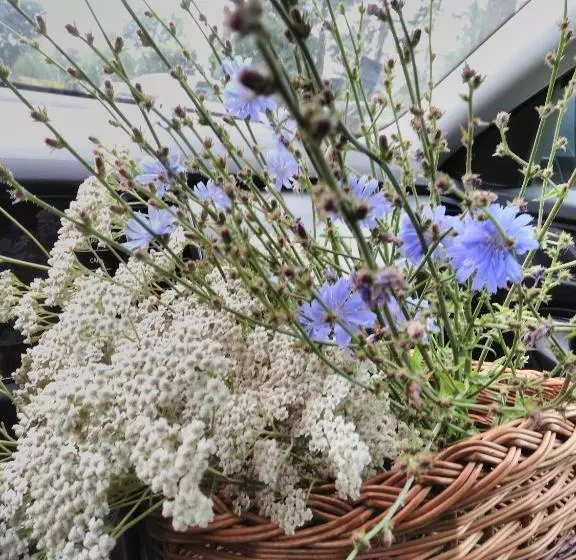 ホテル Pałac W Małkowie