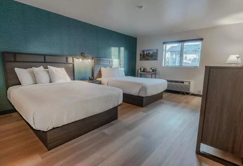 Motelli The Scout Inn